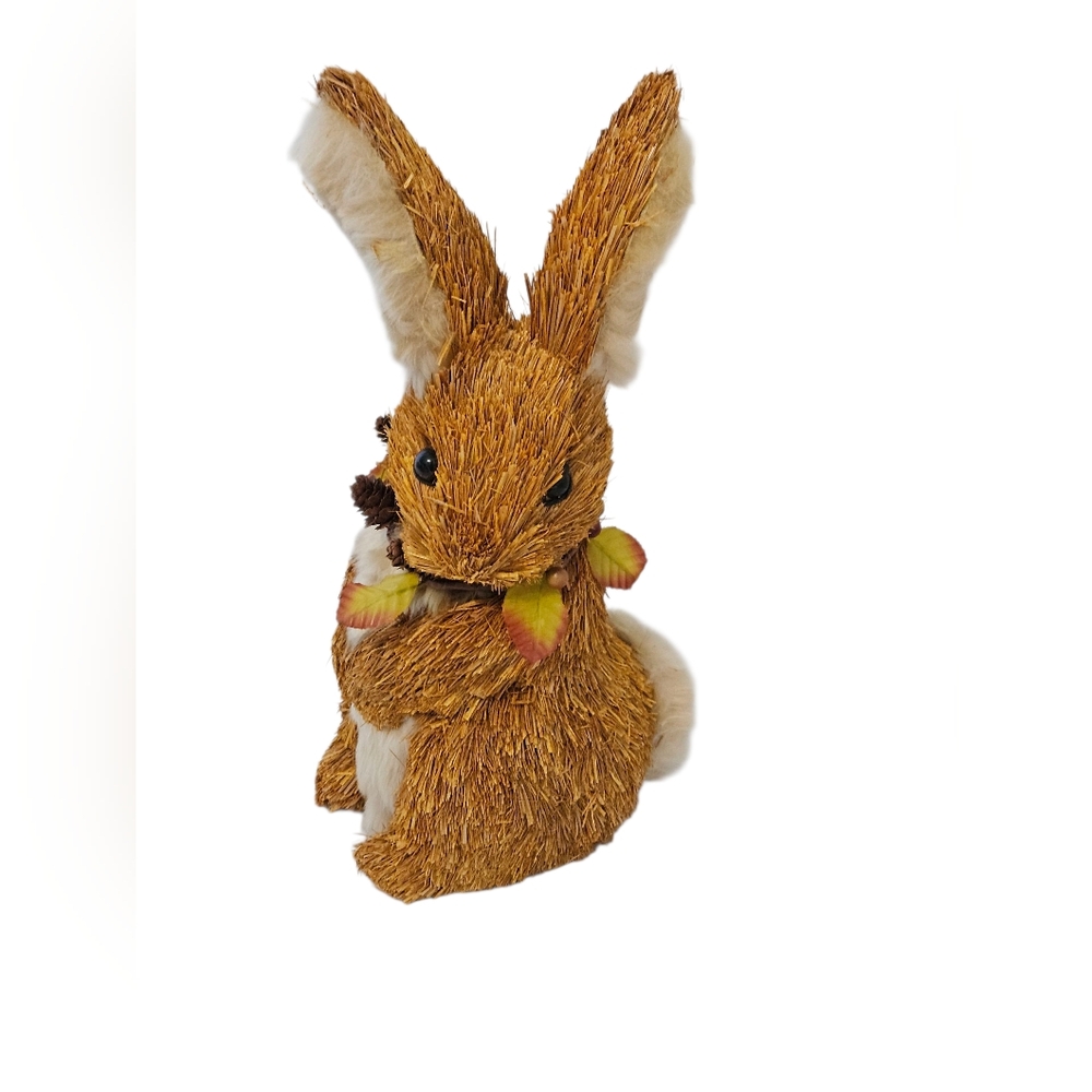 Charming Pier 1 Sisal Fall Bunny.